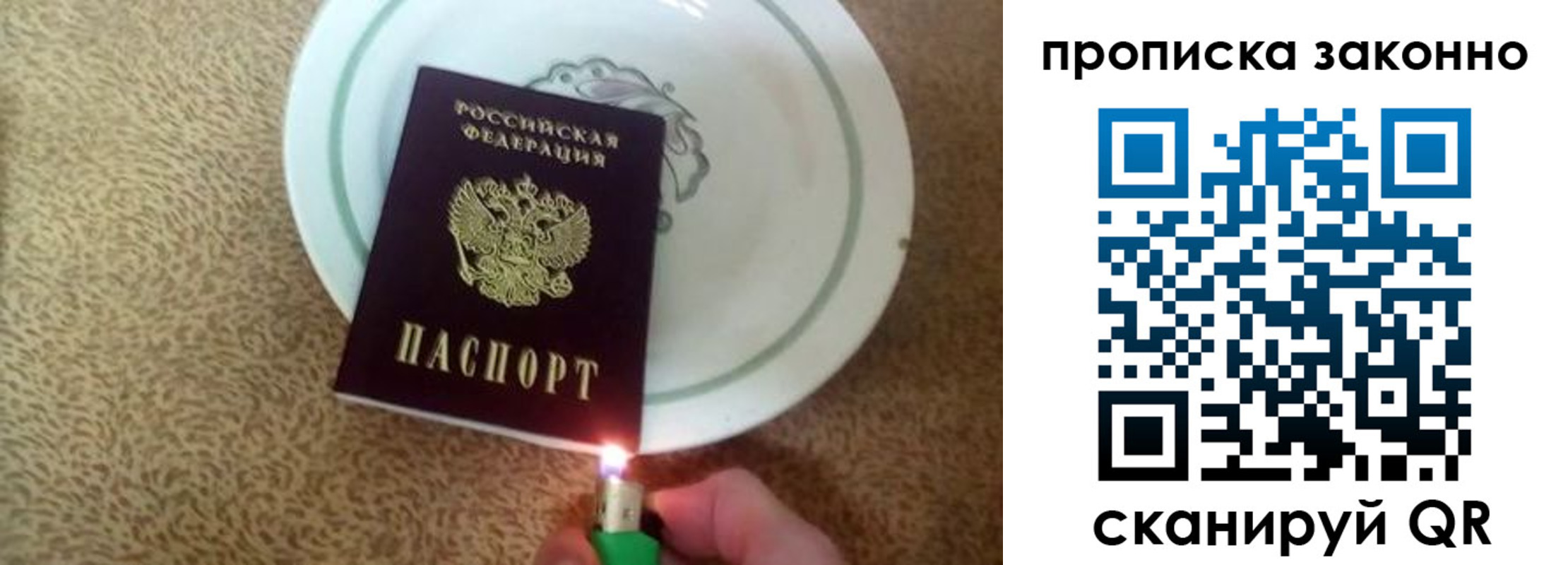 прописка поиск в Котельниково